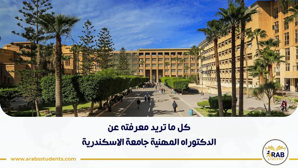 الدكتوراه المهنية جامعة الاسكندرية