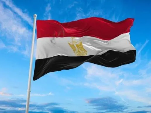 دراسة الطب في مصر